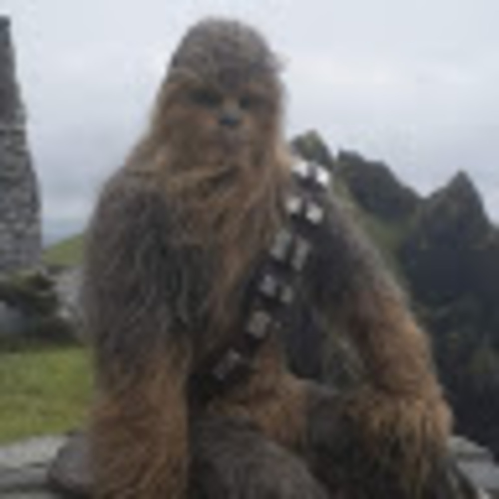Meet your Posher, Jill